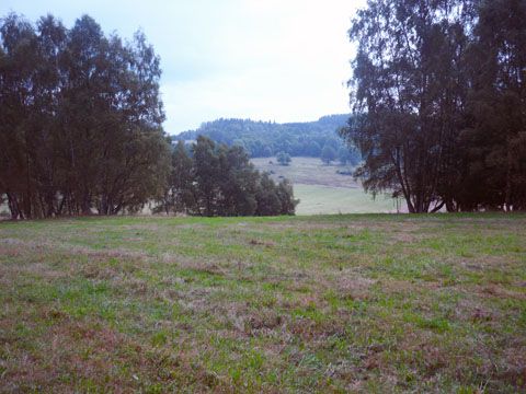 Foto 36